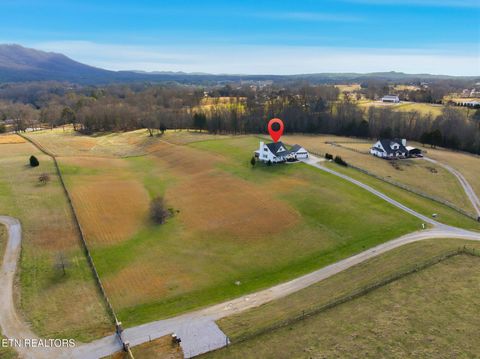 Tiny photo for 7425 Mountain Glory Way, Corryton, TN 37721 (MLS # 1328479)