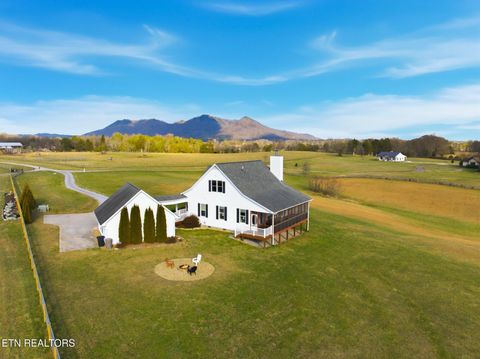 Tiny photo for 7425 Mountain Glory Way, Corryton, TN 37721 (MLS # 1328479)