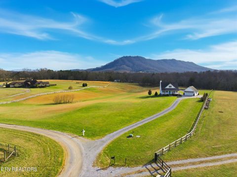 Tiny photo for 7425 Mountain Glory Way, Corryton, TN 37721 (MLS # 1328479)