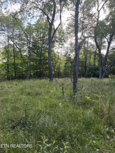 Tiny photo for 86 Hidden Hills Drive, Dayton, TN 37321 (MLS # 1340610)