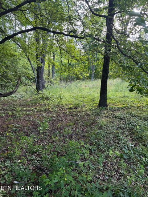 Tiny photo for 86 Hidden Hills Drive, Dayton, TN 37321 (MLS # 1340610)