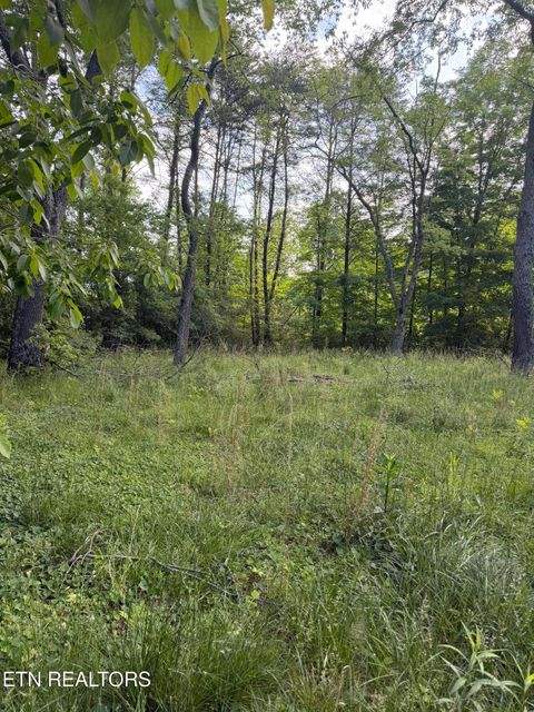 Tiny photo for 86 Hidden Hills Drive, Dayton, TN 37321 (MLS # 1340610)
