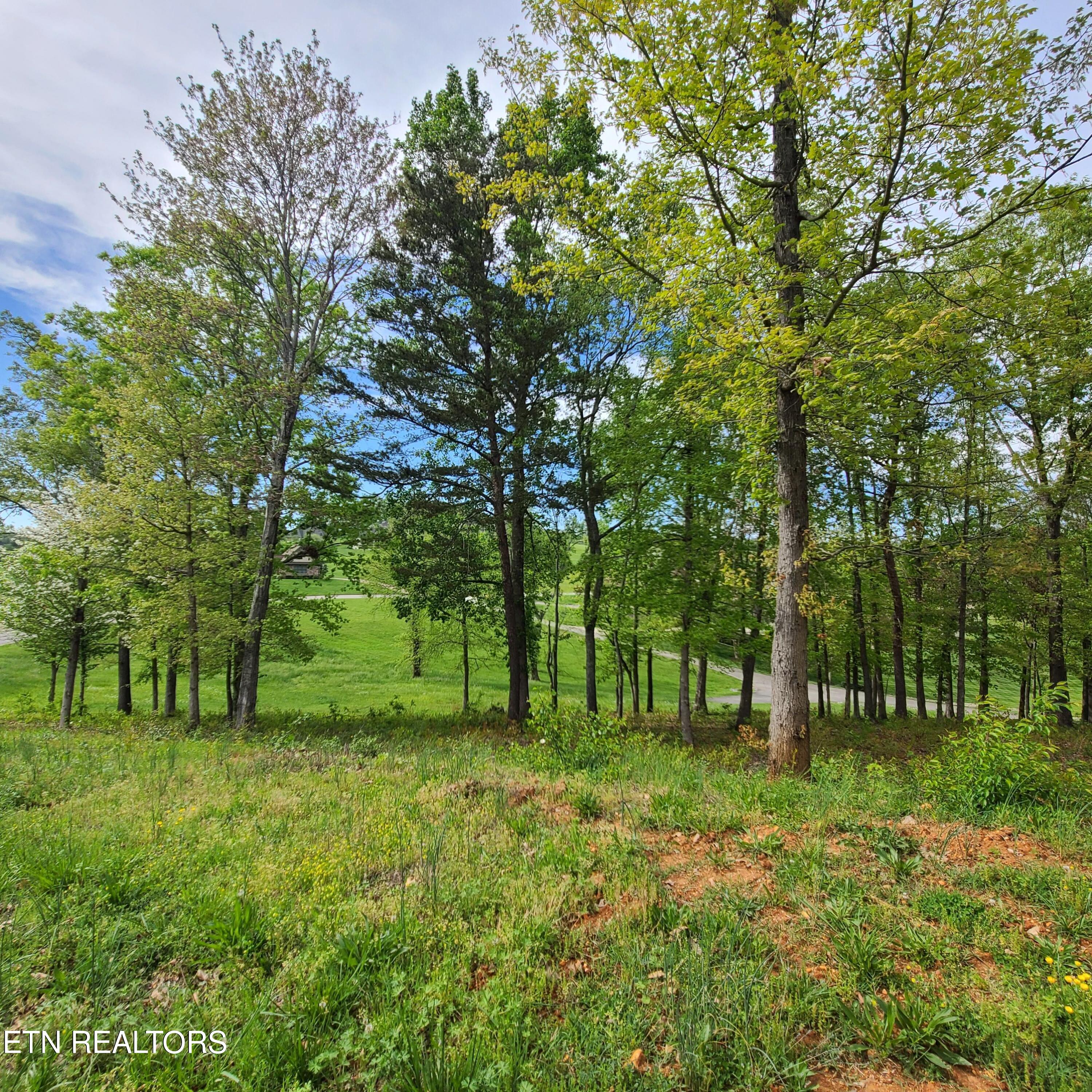 Lot 92R Majestic Circle