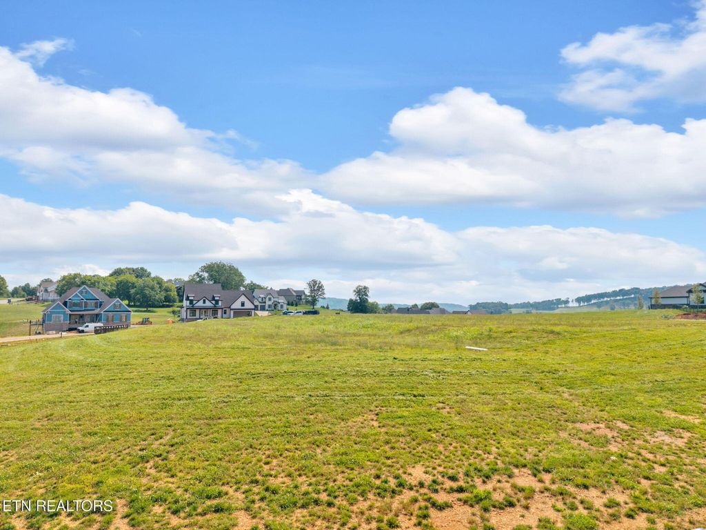 Photo of 433 Firefly Drive, Loudon, TN 37774 (MLS # 1304573)