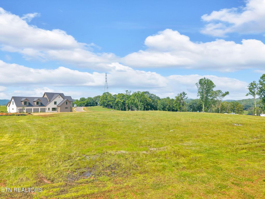 Photo of 433 Firefly Drive, Loudon, TN 37774 (MLS # 1304573)