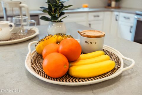 Tiny photo for 12516 Dalton View Lane, Knoxville, TN 37932 (MLS # 1330080)