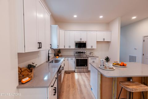 Tiny photo for 12516 Dalton View Lane, Knoxville, TN 37932 (MLS # 1330080)