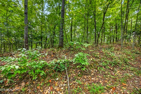 Tiny photo for 29 Timber Ridge Lane, Celina, TN 38551 (MLS # 1357280)