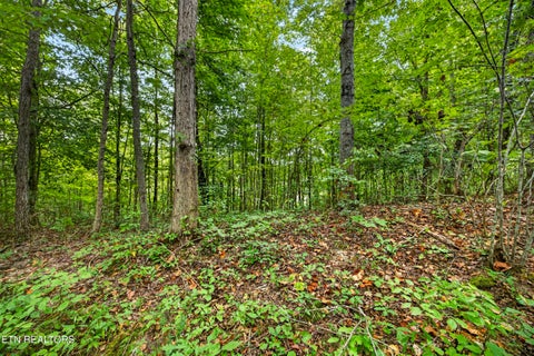 Tiny photo for 29 Timber Ridge Lane, Celina, TN 38551 (MLS # 1357280)