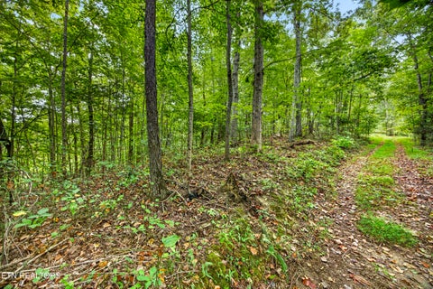 Tiny photo for 29 Timber Ridge Lane, Celina, TN 38551 (MLS # 1357280)