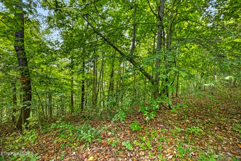 Tiny photo for 29 Timber Ridge Lane, Celina, TN 38551 (MLS # 1357280)
