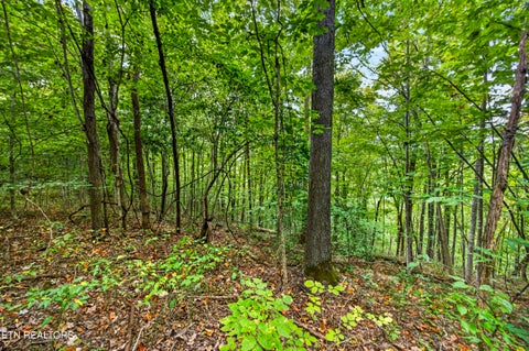 Tiny photo for 29 Timber Ridge Lane, Celina, TN 38551 (MLS # 1357280)