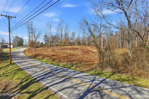 Photo of 3110 Miser School Rd, Friendsville, TN 37737 (MLS # 1329221)