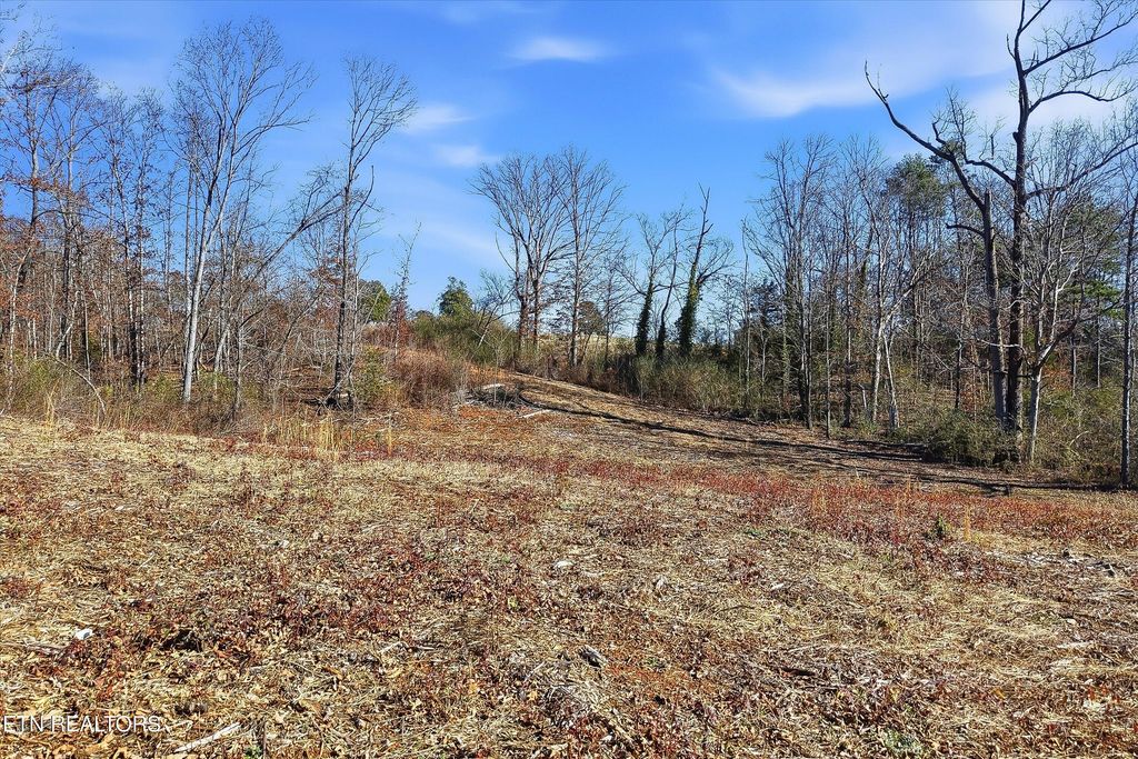 Photo of 3110 Miser School Rd, Friendsville, TN 37737 (MLS # 1329221)