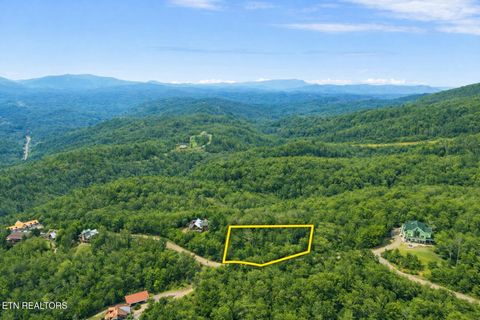 Tiny photo for Pinnacle View Rd, Pittman Center, TN 37738 (MLS # 1331532)