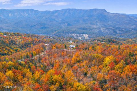 Tiny photo for Pinnacle View Rd, Pittman Center, TN 37738 (MLS # 1331532)