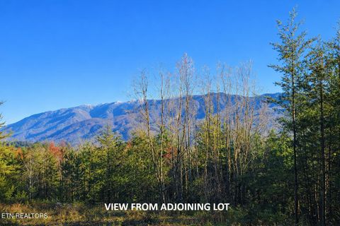 Tiny photo for Pinnacle View Rd, Pittman Center, TN 37738 (MLS # 1331532)
