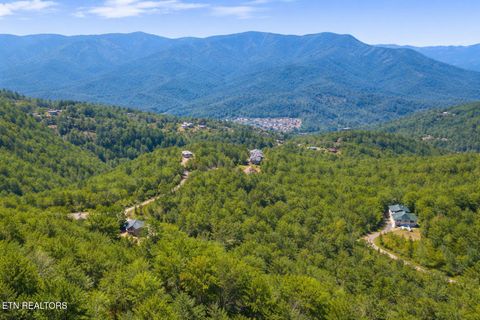 Tiny photo for Pinnacle View Rd, Pittman Center, TN 37738 (MLS # 1331532)