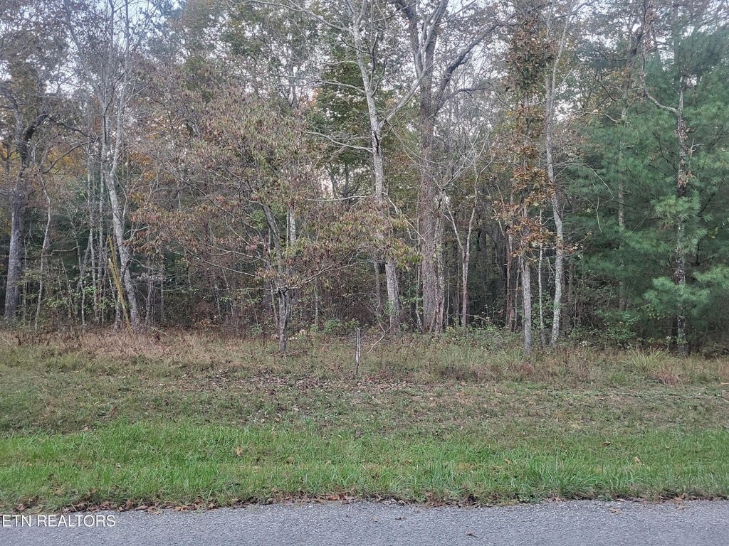 Photo of 127 Newcastle Lane, Crossville, TN 38558 (MLS # 1358834)