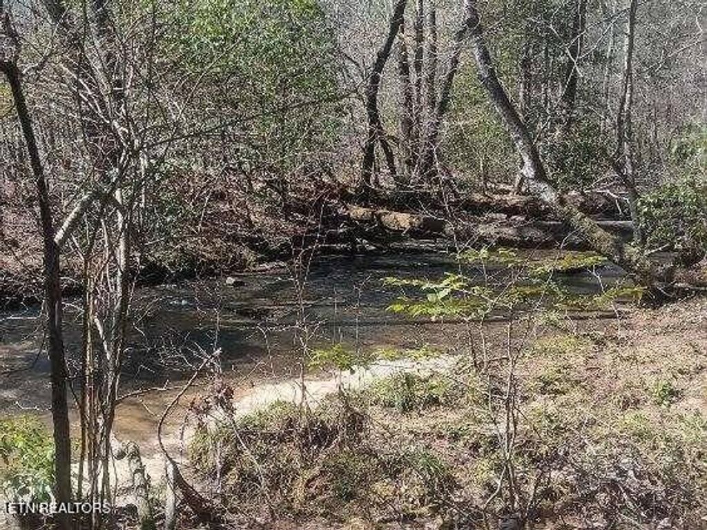 Photo of 255329 Copperhead Rd, Oakdale, TN 37829 (MLS # 1297490)