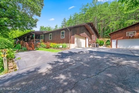 1108 Stanton Rd Seymour TN 37865