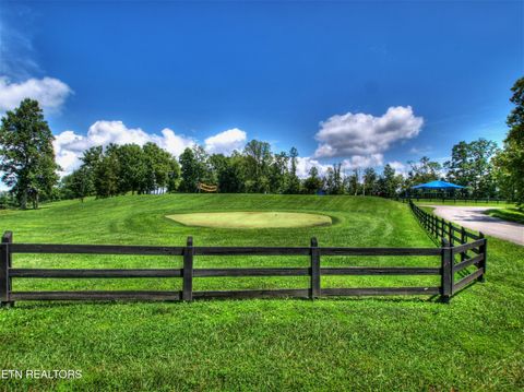 Tiny photo for 443 Feldspar Rd, New Tazewell, TN 37825 (MLS # 1334054)