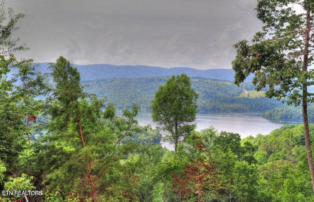 Photo of 443 Feldspar Rd, New Tazewell, TN 37825 (MLS # 1334054)