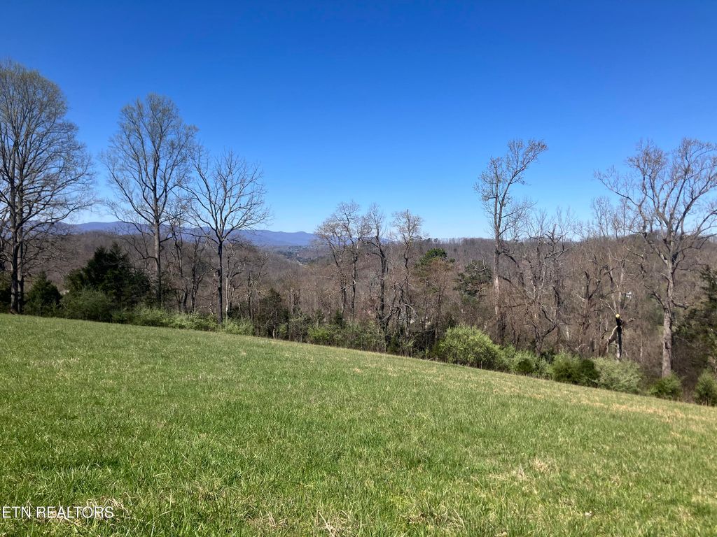 Photo of Elkins Valley Rd, Heiskell, TN 37754 (MLS # 1334058)