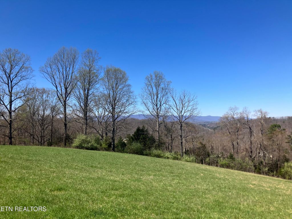 Photo of Elkins Valley Rd, Heiskell, TN 37754 (MLS # 1334058)