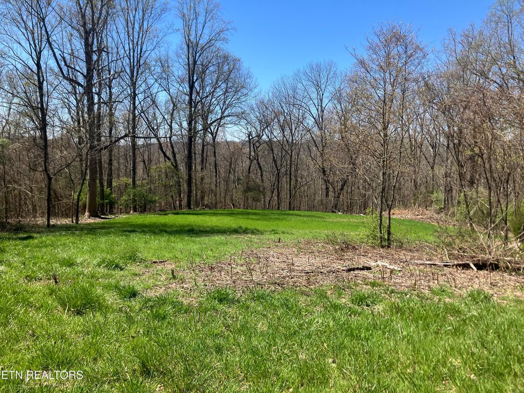 Photo of Elkins Valley Rd, Heiskell, TN 37754 (MLS # 1334058)