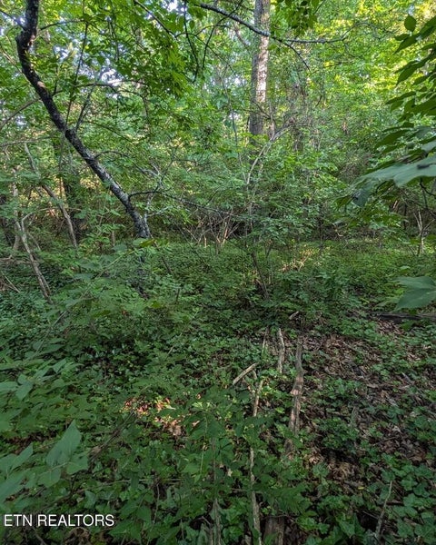 Tiny photo for 5016 Ridgemont Drive, Knoxville, TN 37918 (MLS # 1357117)