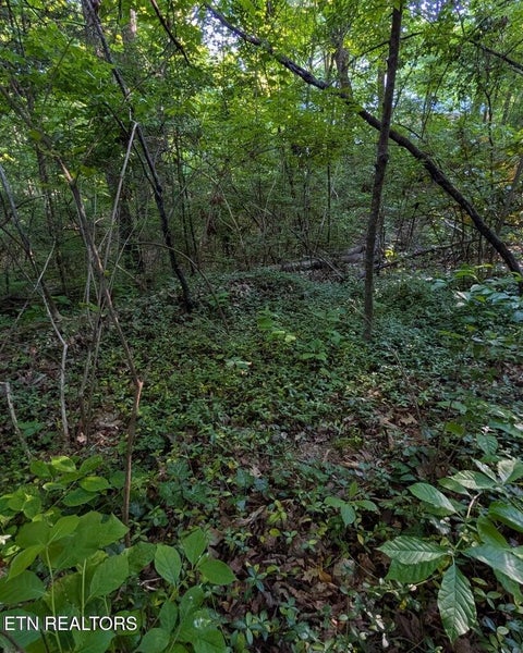 Tiny photo for 5016 Ridgemont Drive, Knoxville, TN 37918 (MLS # 1357117)