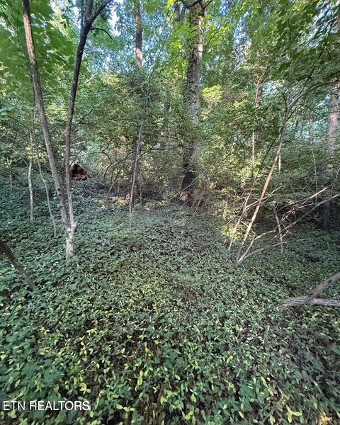 Tiny photo for 5016 Ridgemont Drive, Knoxville, TN 37918 (MLS # 1357117)