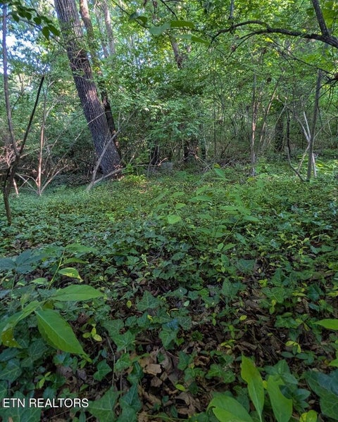 Tiny photo for 5016 Ridgemont Drive, Knoxville, TN 37918 (MLS # 1357117)