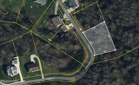 Photo of Trillium Drive, Andersonville, TN 37705 (MLS # 1325628)