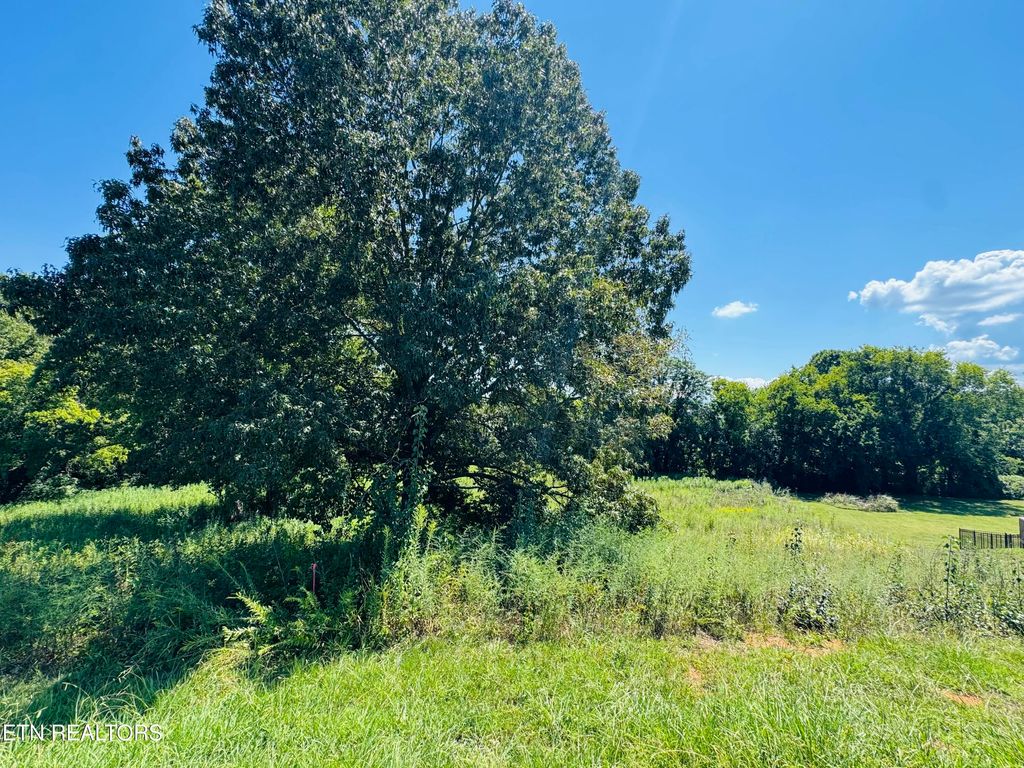 Photo of 2050 Kings View Loop, Seymour, TN 37865 (MLS # 1314443)