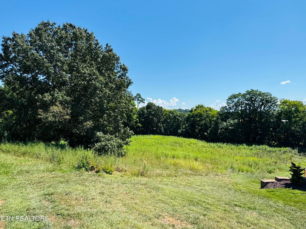 Photo of 2050 Kings View Loop, Seymour, TN 37865 (MLS # 1314443)