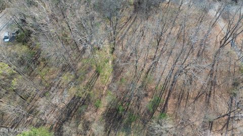 Tiny photo for 0 County Road 860, Delano, TN 37325 (MLS # 1333932)