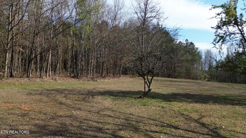 Tiny photo for 0 County Road 860, Delano, TN 37325 (MLS # 1333932)