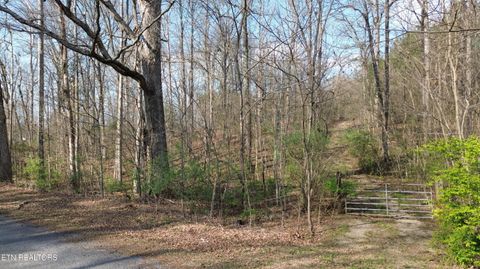 Tiny photo for 0 County Road 860, Delano, TN 37325 (MLS # 1333932)