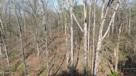 Tiny photo for 0 County Road 860, Delano, TN 37325 (MLS # 1333932)