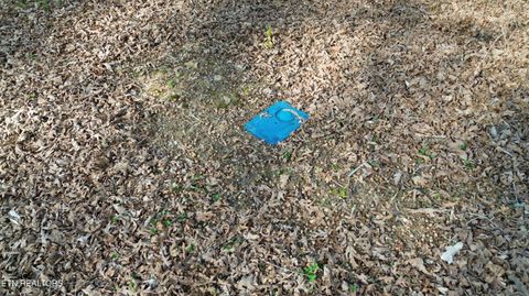 Tiny photo for 0 County Road 860, Delano, TN 37325 (MLS # 1333932)