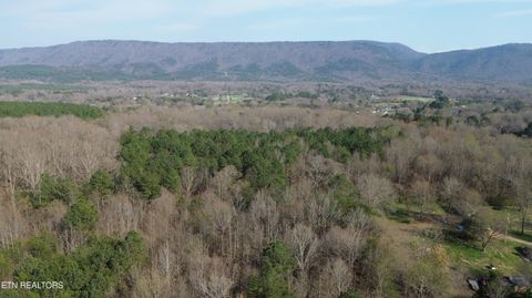 Tiny photo for 0 County Road 860, Delano, TN 37325 (MLS # 1333932)