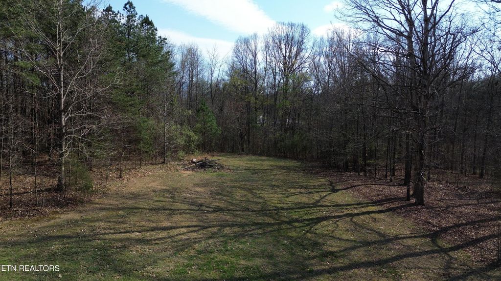 Photo of 0 County Road 860, Delano, TN 37325 (MLS # 1333932)