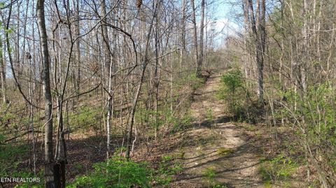 Tiny photo for 0 County Road 860, Delano, TN 37325 (MLS # 1333932)