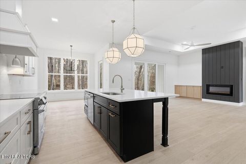 Tiny photo for 518 Gohi Tr, Vonore, TN 37885 (MLS # 1330107)