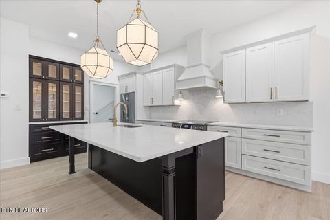 Tiny photo for 518 Gohi Tr, Vonore, TN 37885 (MLS # 1330107)