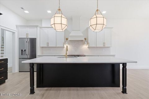 Tiny photo for 518 Gohi Tr, Vonore, TN 37885 (MLS # 1330107)