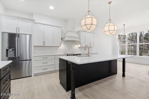 Tiny photo for 518 Gohi Tr, Vonore, TN 37885 (MLS # 1330107)