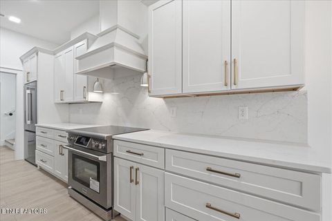 Tiny photo for 518 Gohi Tr, Vonore, TN 37885 (MLS # 1330107)